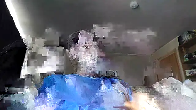 Show de webcam de HandymansTool