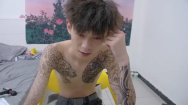 Show modela paofu-001 na web-kameri