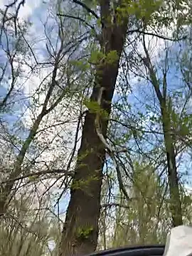 Chat XXX Live SweetCuteGirls1023