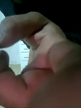 Tripalopn Webbikameraesitys