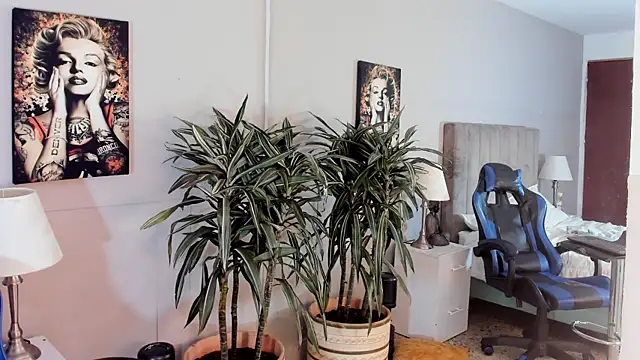 Show Webcam de kai_storn