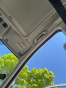 Chat XXX ao vivo de Babii_Nova