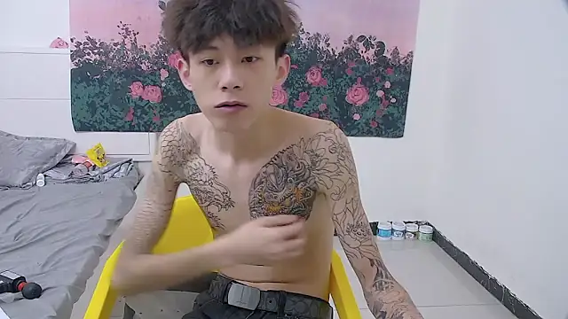 Show Webcam de paofu-001