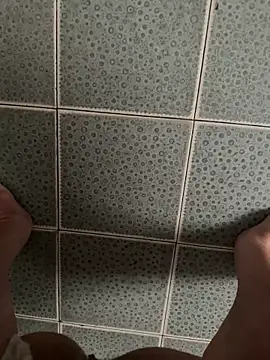 Wet-Pussycat: διαδικτυακό σόου στην κάμερα