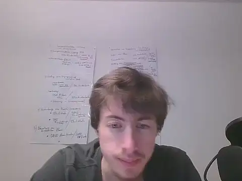 VelvetRagottiOG 现场XXX聊天