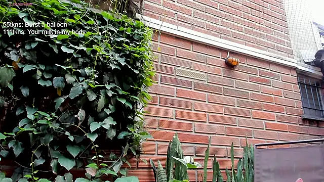 SalomeStorm_ Live XXX-Chat