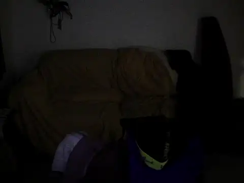 Živý XXX chat dais456