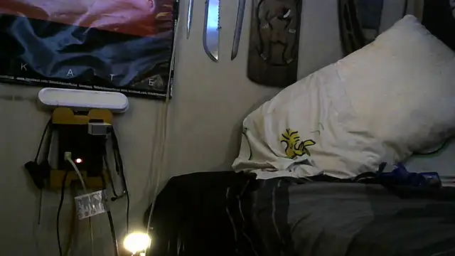 Show webcam de crassanova