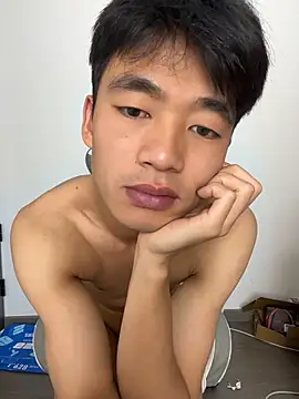 NV-1n Webbikameraesitys