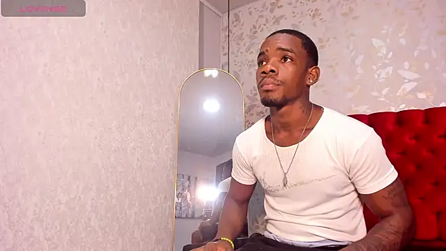 Chat XXX en directo de aron_clark