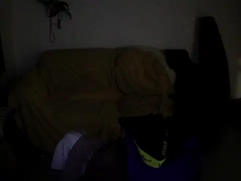 Show modela dais456 na web-kameri