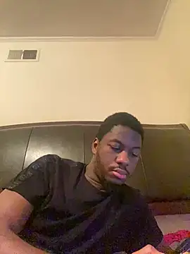 ThickDic28 Show in webcam