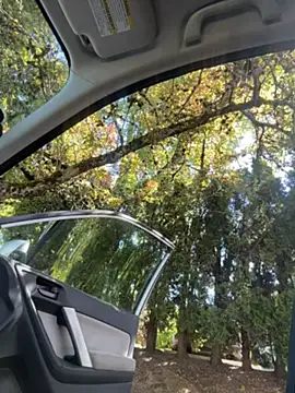 Babii_Nova live XXX chat