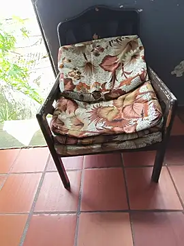 Show de Blanco2023 na webcam