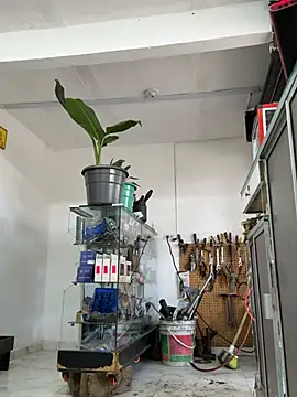 Chat +18 de Paul22cm- ao vivo