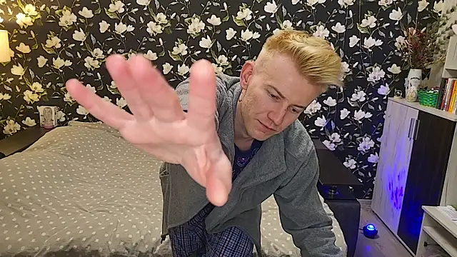 Vuitton's Webcam Show