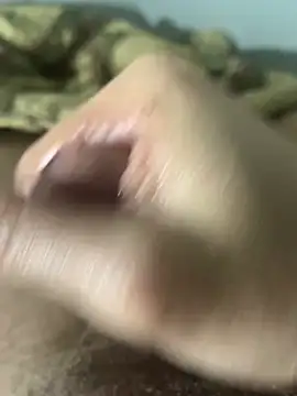 Show webcam de Ce3003