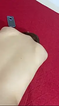 vietAnhzipのウェブカメラショー