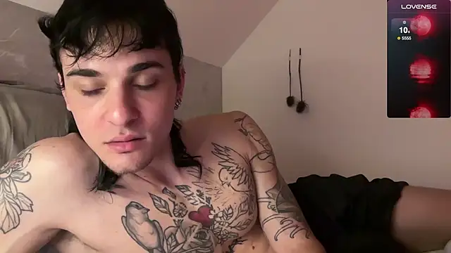 palm1stry Webcam show