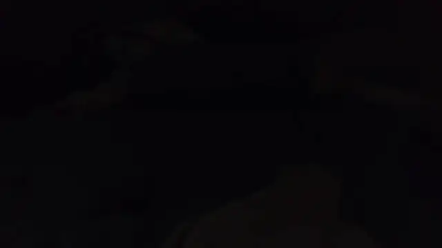 k-dong: онлайн-секс-чат