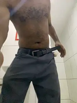 hudson19cmn Webbikameraesitys