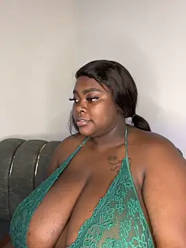 Show modela ReaGrant na web-kameri