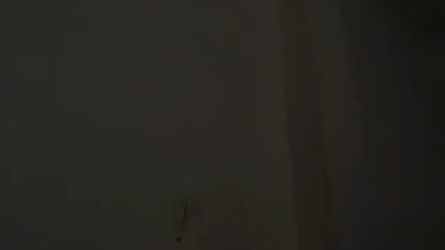 sabanamojada19 – Kamerová šou