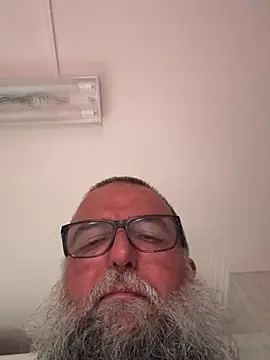 Noitelivren Webbikameraesitys