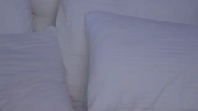 Chat XXX Live JaneBrock