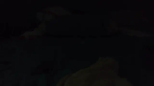 k-dong Live XXX Chat