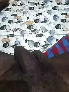 LEOMEGHA2026 Webcam show