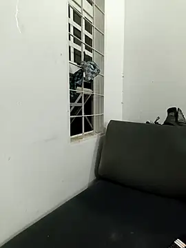 Scarlett-Leh Live XXX-chat