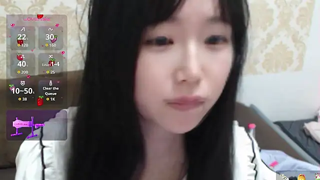 himaridesuのウェブカメラショー