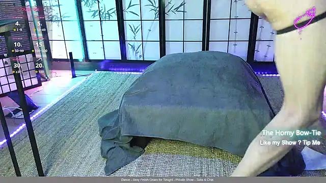 thehornybowtie ওয়েবক্যাম শো