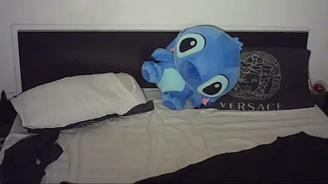 Show webcam de SoftEdgeBoy