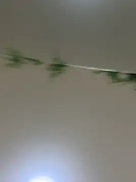 IsabellaAllenのライブXXXチャット