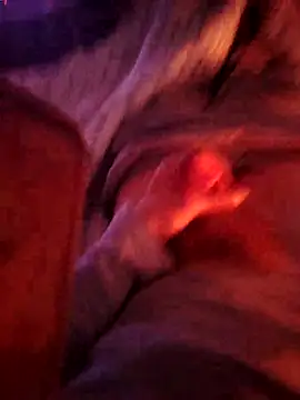 BarringHandling Webcam-Show