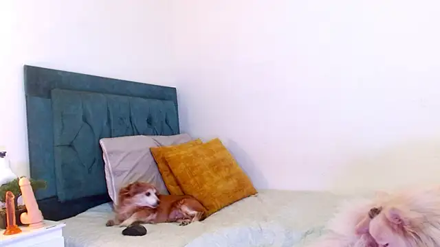 cedrixx10 Chat XXX in diretta