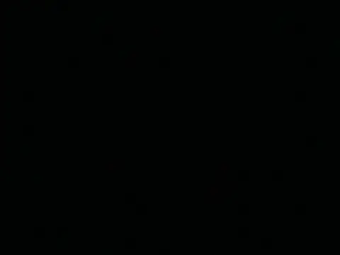 Tigerhill2023 – webcam-show