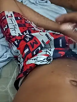 Show de Wesleypikadura na webcam