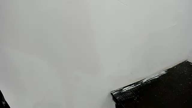 vannellope_robertsのウェブカメラショー