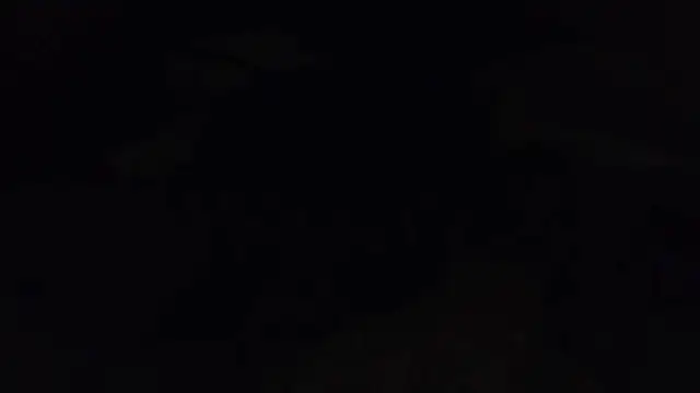 Show Webcam de k-dong