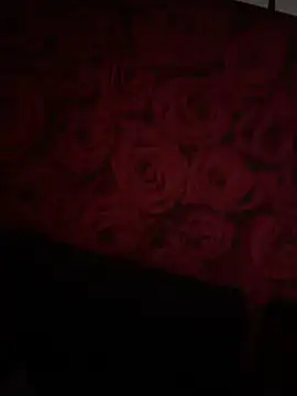 CarmelaAnthony webkamerás műsora