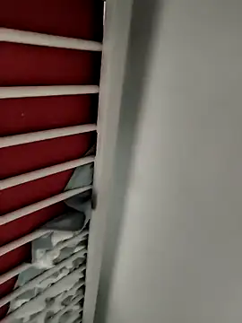 CattingSample Show Webcam