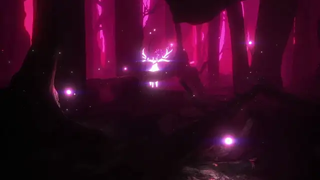 BimboCat: διαδικτυακό σόου στην κάμερα