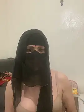 Ashwak_transn Webbikameraesitys