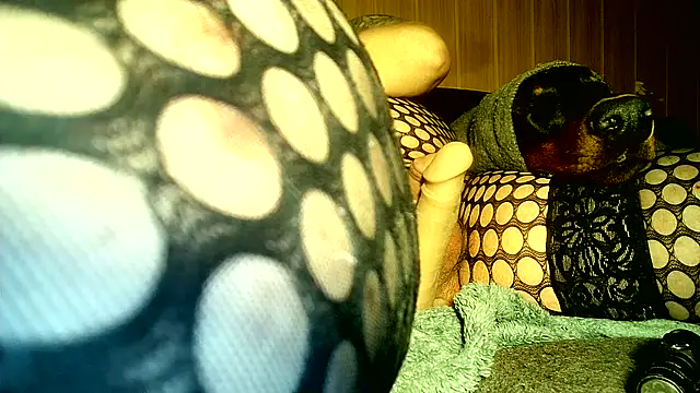 DjiniCD élő XXX-chatje