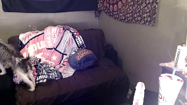 London_Ray élő XXX-chatje