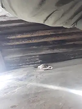 m-a-g-n-a-t-a webcam show