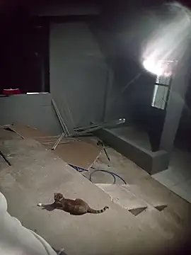 Онлайн чат XXX Kuppy14